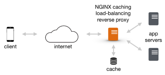 Nginx Reverse Proxy Pic