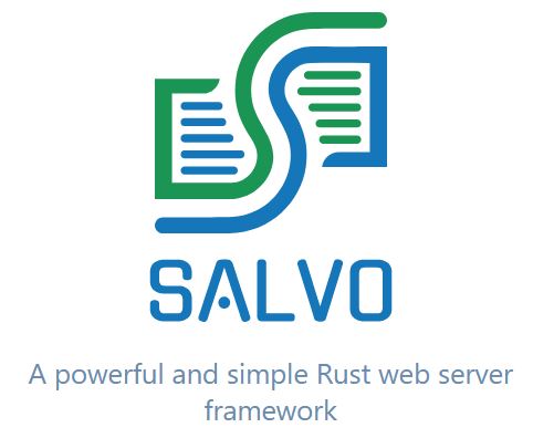 Building a REST API with Rust and Salvo Framework